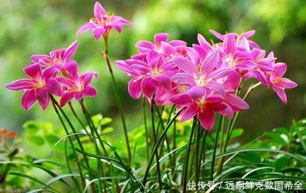 钱财|俗话说人是贫是富,其实早有定数,具备4个特质,钱财花不完