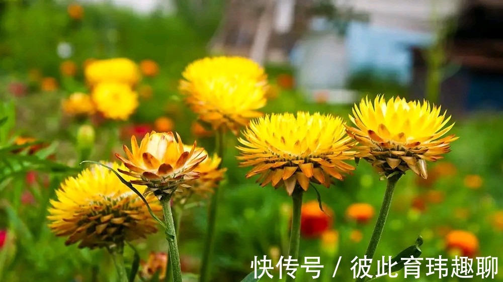 老伴|3个年过75岁的老人坦言：人到晚年，连死都不怕，唯独怕3件事