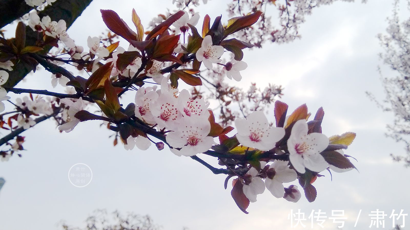 久雨&遥远的地方，藏着一句，对雨的相思