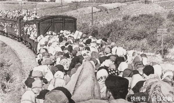 不信|日本投降后,遗留我国东北的10万女性去哪了?说出来别不信