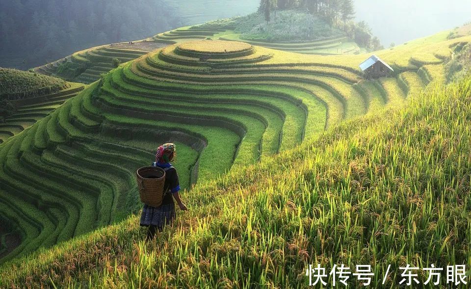 邹峄&最好的人生是:五忙,一闲