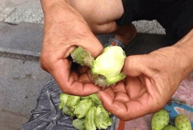 仙人掌果|农村山上经常出现的果实，城里人很多都没见过，你知道它是啥吗