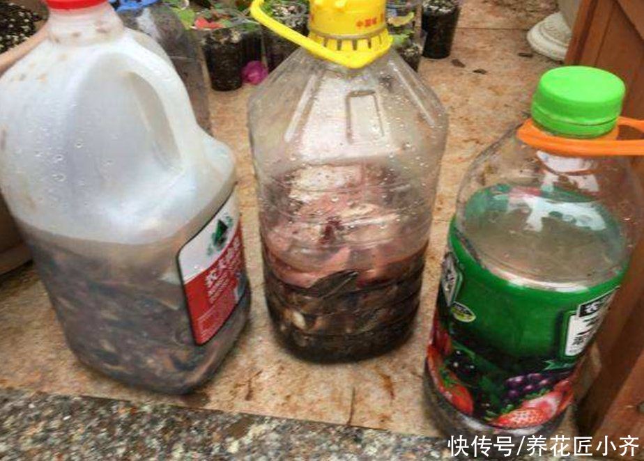 阳台养花“三大件”，其中两种不必买，可以自己做，养花更好用