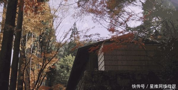 日本第四家安缦酒店方案公开，经典设计永不过时