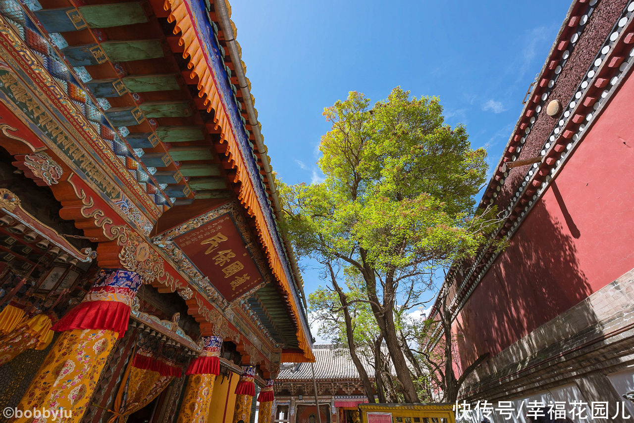 魅力|错的时间去了对的地方，一场太阳雨后，彩虹下目睹了塔尔寺的魅力