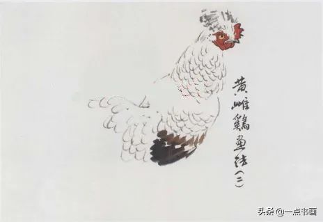 浓墨画@图文教程——写意画鸡技法