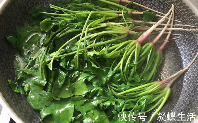 薄皮|玉米面不要做馒头了,加上这种蔬菜,教你做菜团子,薄皮大馅真香