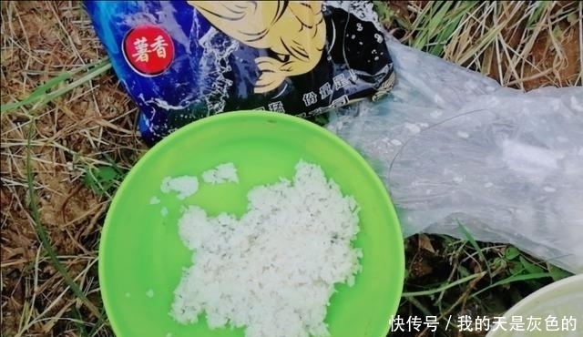 米饭粒这样用,这个夏季钓鲫鱼再也不怕小鱼闹,不信你就试试看