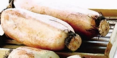 人到中年想养生,3种食物轮着吃,排毒养颜、美白肌肤、抗衰老