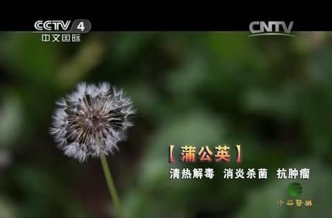  患者|66岁食道癌晚期患者，靠吃草带癌生存十年！他是怎么做到的？