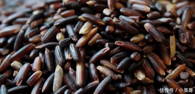 黑米5种最好吃的做法,简单美味又馋人,看看你喜欢吃哪种?