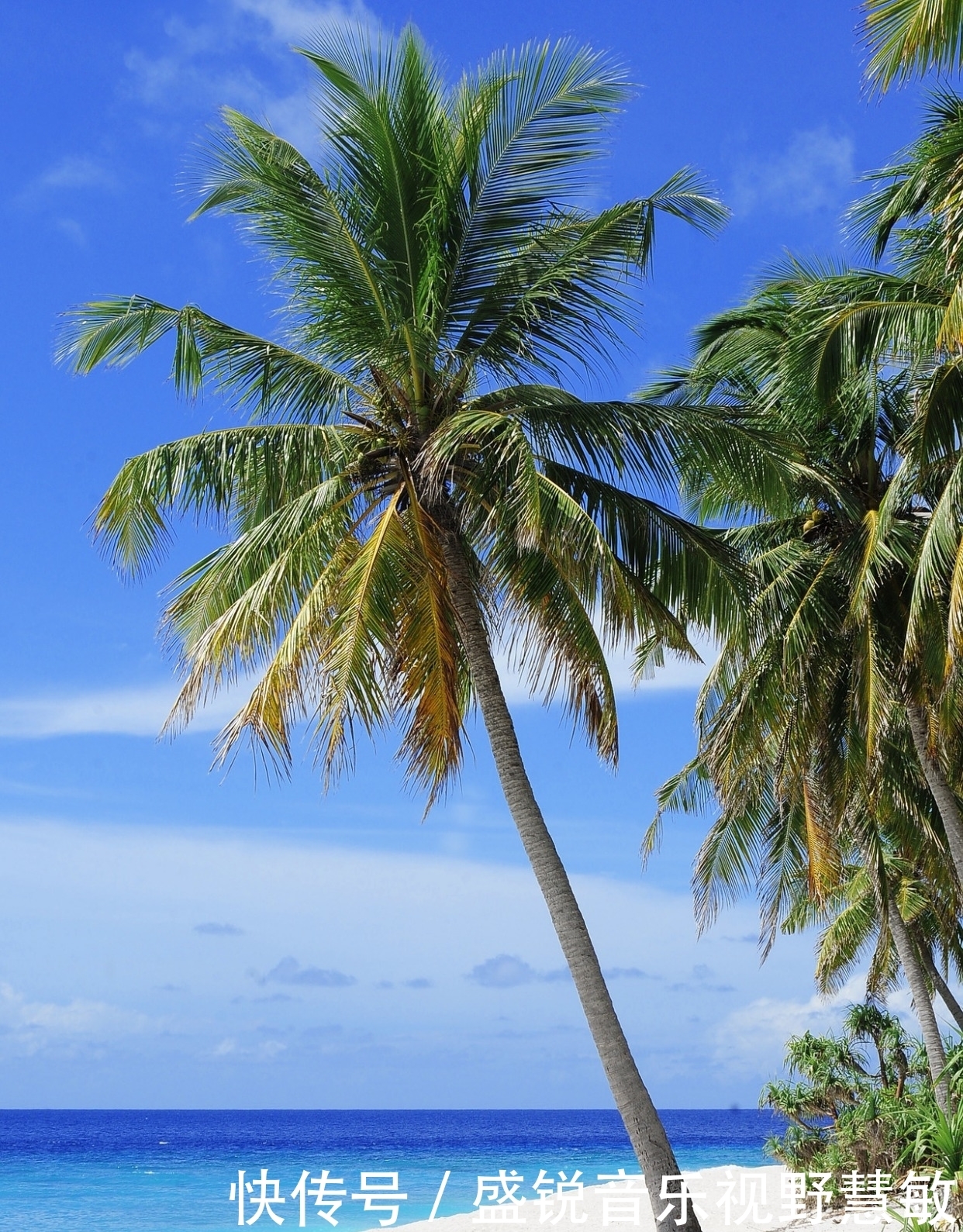 垂钓|钓鱼打窝的基本原则与需要注意的地方（不错）