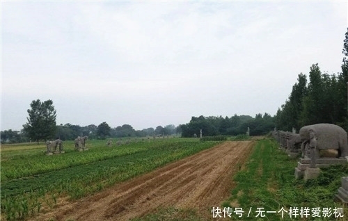 开国|史上最伟大开国皇帝之一,陵墓却藏在农田里,专家挖开后失望不已