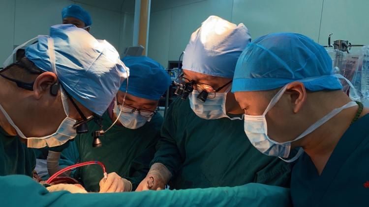 陆朝阳|19岁男孩离世捐献器官让4人重获新生