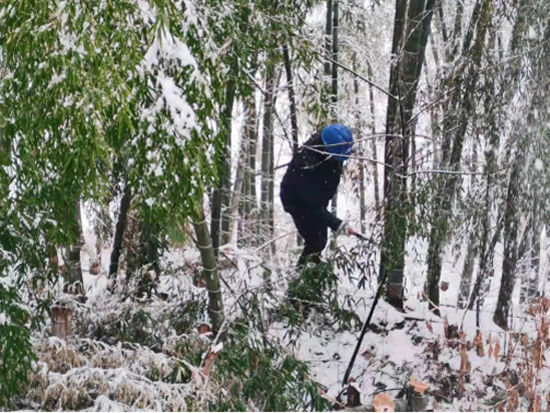 彭泽|大雪纷飞时，彭泽这群人闻雪而动了！