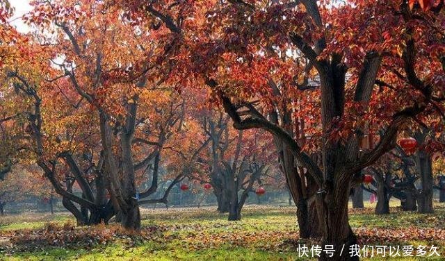 前往|中国最冷清的古城，历史底蕴非常浓厚还不收门票，却少有人前往！