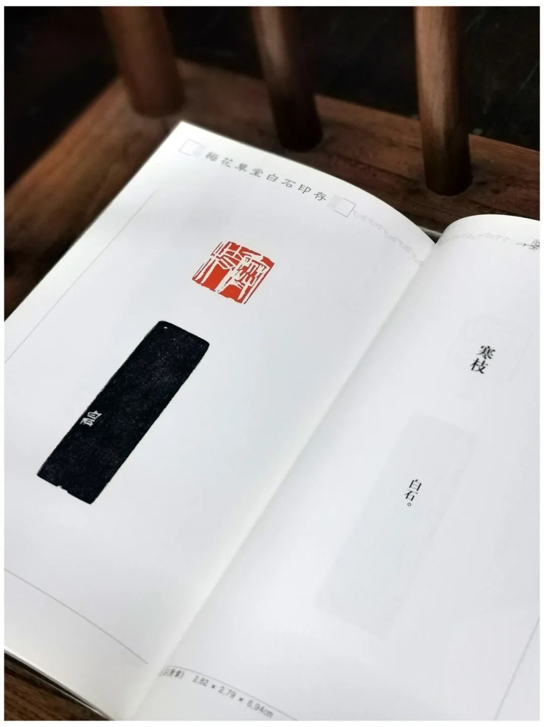 印章#齐白石传人、齐白石书画院院长-汤发周分享:见证齐白石与朱屺瞻友谊的一本书是什么?