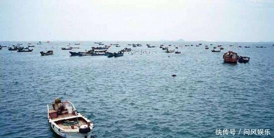 为什么带鱼要进口,而不在东海和南海自己捕捞今天算长见识了