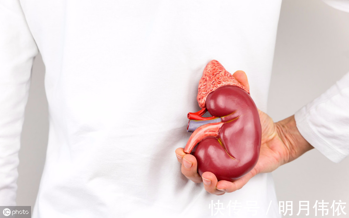 食物|4大伤肾食物，吃的越多，尿毒症来的越快，每一种都多人爱，早知