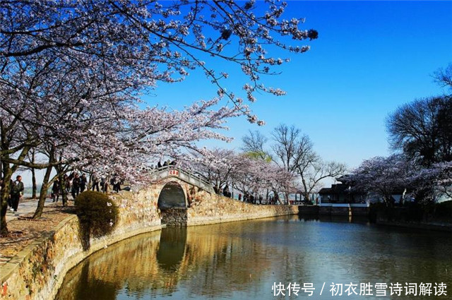 春雨楼头曼殊诗，眼前樱花雨，心里浙江潮