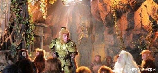 老君|花果山惨案发生了啥让猴哥大杀四方,老君拿出千枚仙丹得以平息