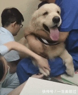 |搞笑GIF:单身久了什么事情都做的出来, 是时候找个女朋友了