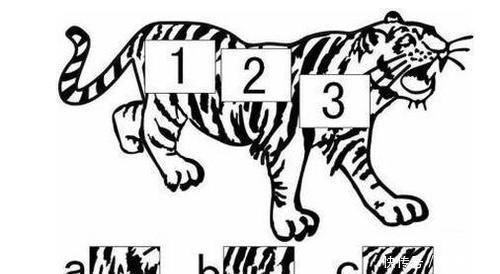 萃枫苷|痴呆测试图：别花时间想，你能几秒找出？用时1分钟的都有点危险