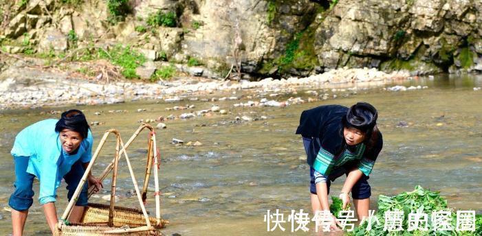 农村儿时这种鱼还记得吗?现在已经见不到了