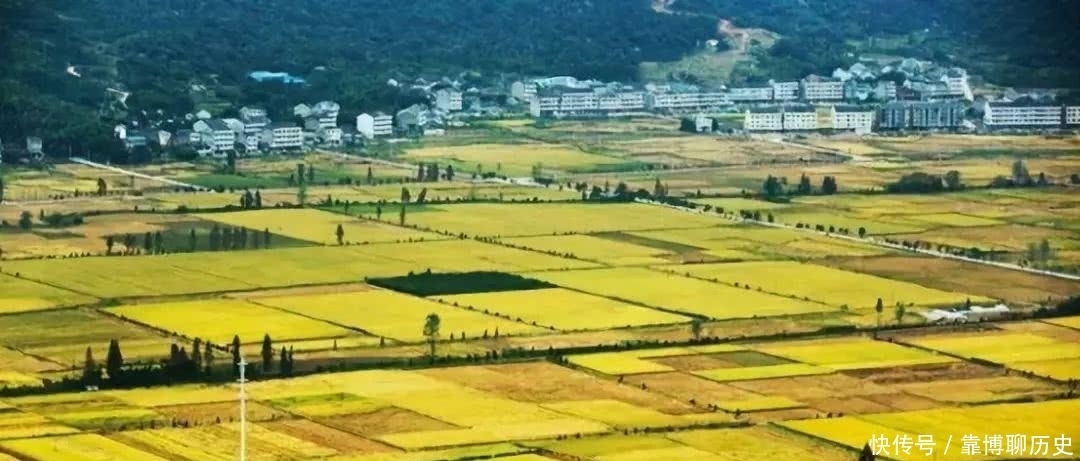 涝区变粮区再成景区，看天井垟田园综合体变形记！