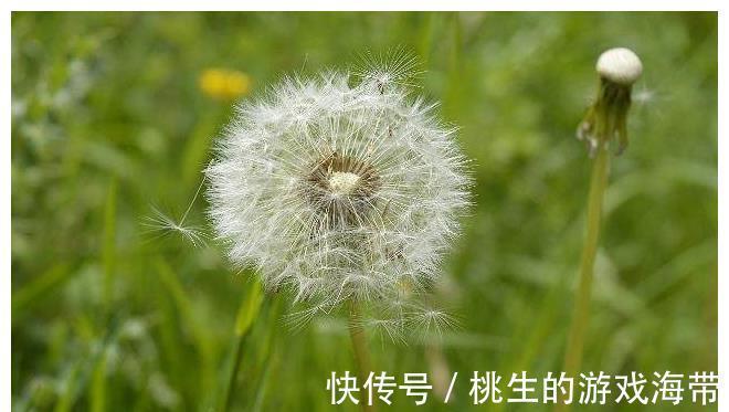 肝毒|肝毒的“克星”来了,常喝这3种水,帮你疏肝理气排肝毒!