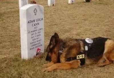 开战|别整天说开战!你热爱战争的唯一原因是没参加过战争!