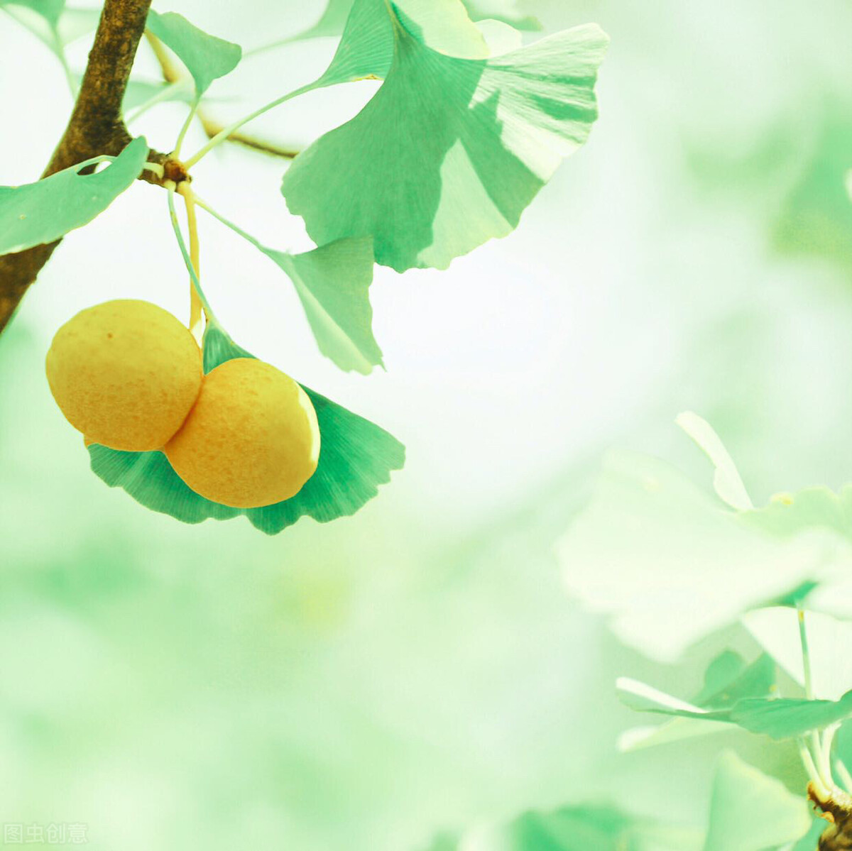 我们这一生,最亏欠的是自己