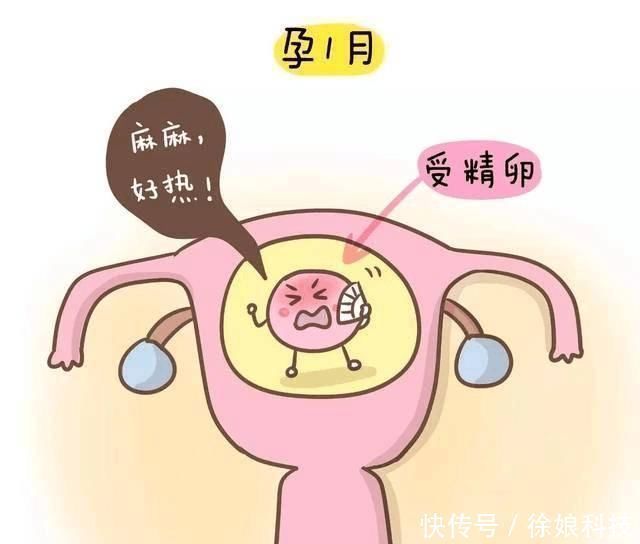 甲鱼|胎儿最害怕“十件事”,会影响胎儿发育,孕妇要尽量避免