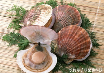 摄入量|想要膝关节炎“少折腾”,这几类食物最好少吃,别太贪嘴