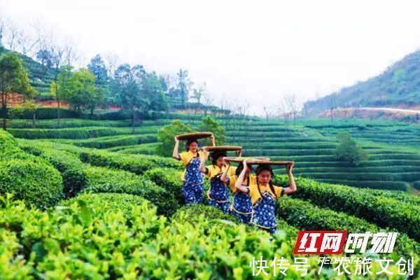 常德市|常德：休闲农业+乡村旅游 奏响乡村振兴“田园交响曲”