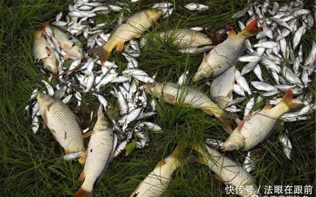 进入晚春时节,钓鱼技巧有一些显著变化,应变不当,只能空手而归