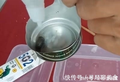 小伙|水蛭以吸血为生,如果吸了502胶水会怎样?国外小伙揭开谜底