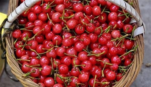 长寿老人最爱吃3种食物，美容养颜、延缓衰老，好处多多！