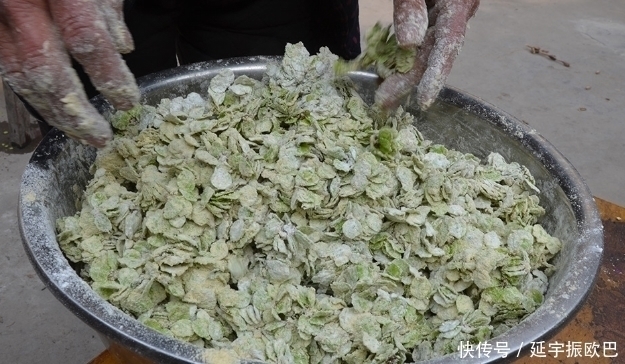 城里人|农村这种树上的叶子能吃,机会难得,城里人可吃不到哦!