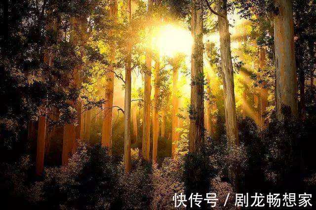 黄帝内经|阳气为什么可以治百病中医为你解密,简单3招补足阳气远离寒湿