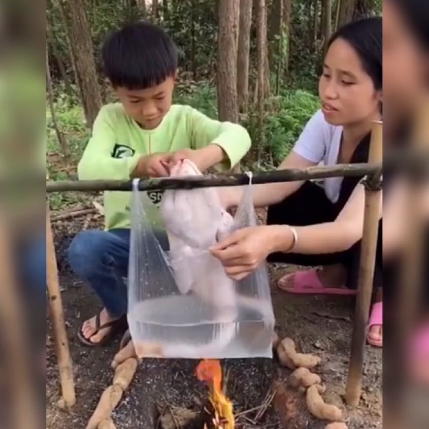 教娃|亲妈教娃用“塑料袋炖鸡”引热议，网友这是边学做饭边学物理吗