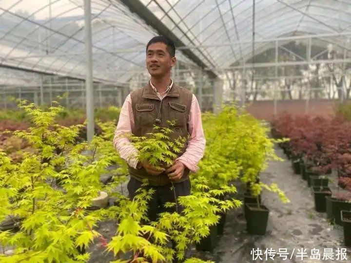 太仙了！浙江男子卖网红植物，年入百万！它在春天竟然如此美丽