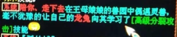 武器|大话西游2差点买了这把武器有什么问题吗