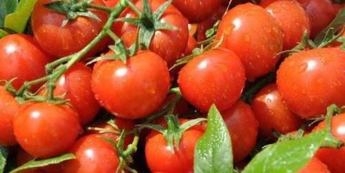 气血|夏天养生都会吃,吃好的食物,清热排毒、调理气血,肌肤不显老