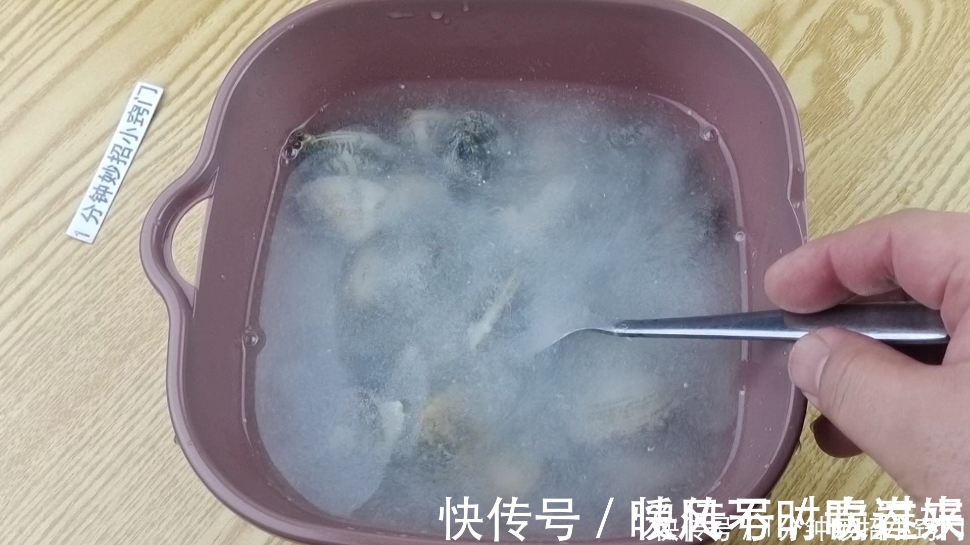 洗花蛤时,不要加盐了!老渔民:教你一招,花蛤疯狂快速吐沙