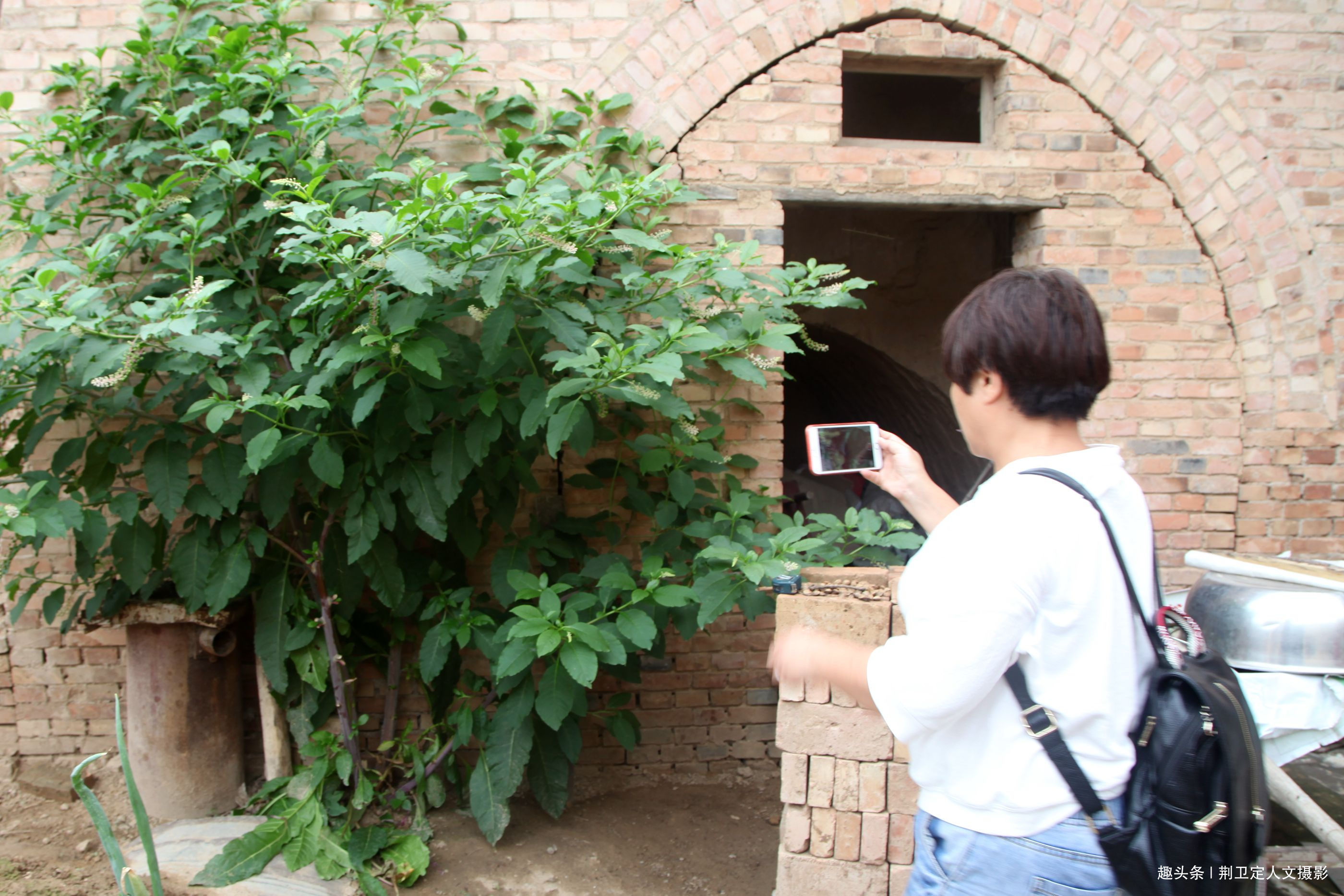 大人参|鸟粪落入8旬老人家中,长出大人参有人说价值10万,看是啥样