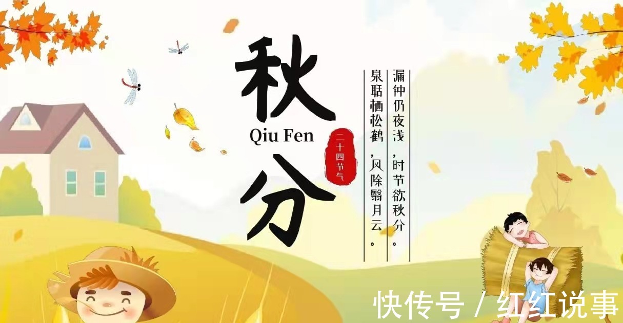 冬瓜|深秋了,记得要“多吃3瓜3果”,低脂营养又润肺,应季而食身体棒!