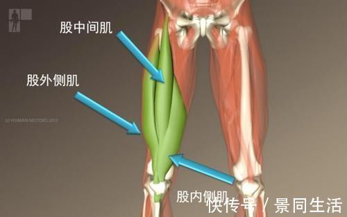 股四头肌|坚持跑步给你留下训练痕迹了吗?跑者的十大形态特征
