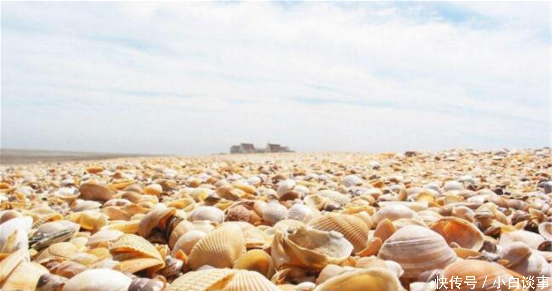  货币|古时候贝壳是货币，为何人们不去多捡点贝壳，让自己成为有钱人