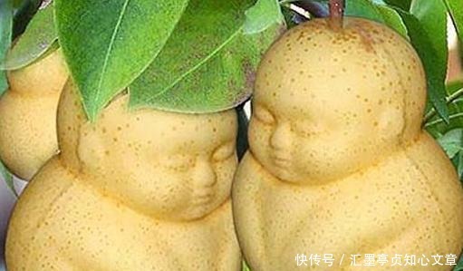 果树|镇元子为何能成为地仙之祖你看他除了靠人参果树还有啥本事